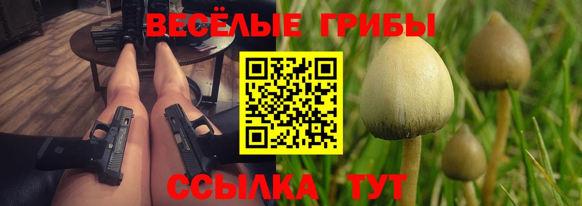 Псилоцибиновые грибы GOLDEN TEACHER Обнинск